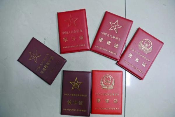 羽林娱乐登录下载